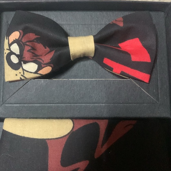 Tie and sash - Picture 2 of 2